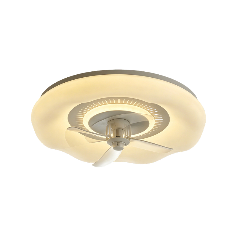 Downrod plafondventilator met licht Downrod plafondventilator met licht