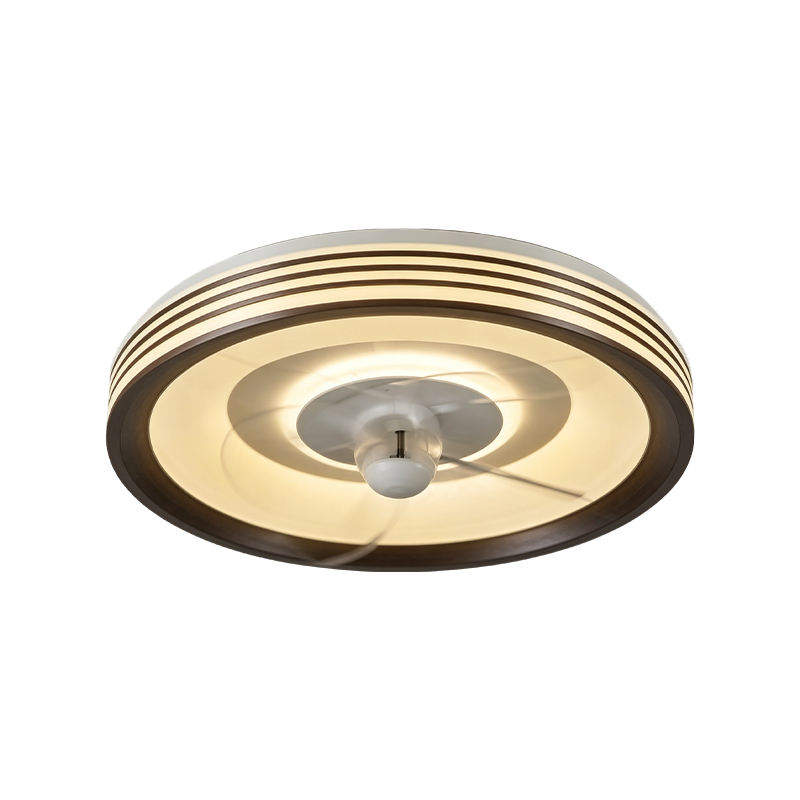 Downrod plafondventilator met licht Downrod plafondventilator met licht