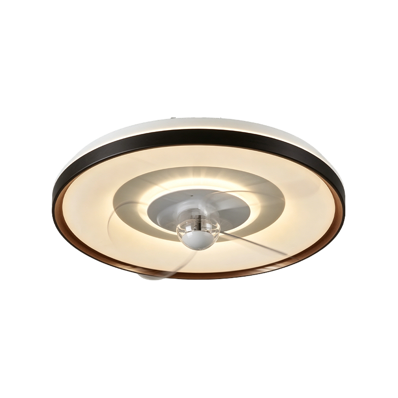 Downrod plafondventilator met licht Downrod plafondventilator met licht