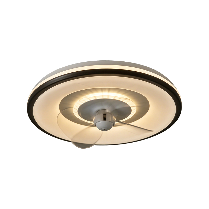 Downrod plafondventilator met licht Downrod plafondventilator met licht