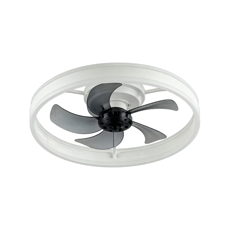 Downrod plafondventilator met licht Downrod plafondventilator met licht
