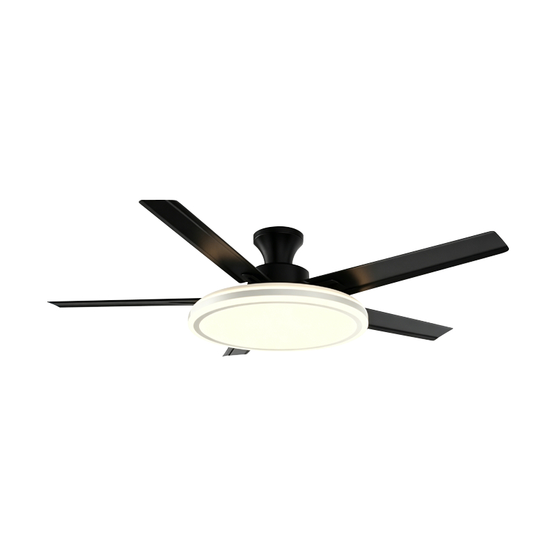 Conventionele ventilatorlamp