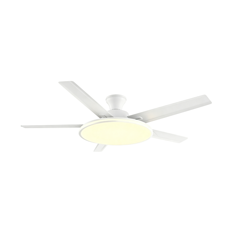 Conventionele ventilatorlamp